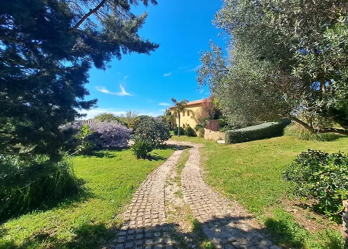 Rez De Jardin Presqu'ile De Giens Apartment