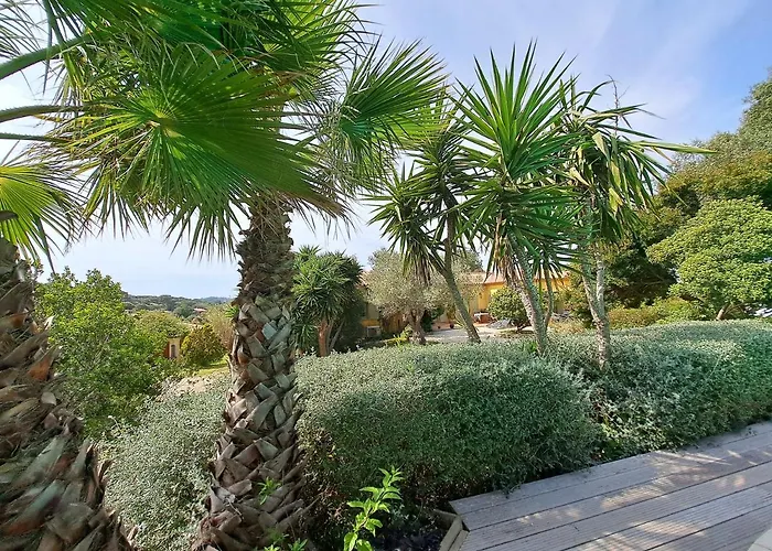 Apartment Rez De Jardin Presqu'ile De Giens *