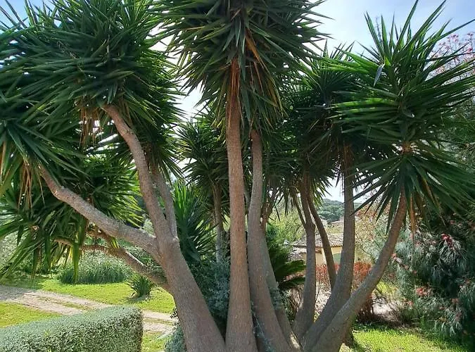 Rez De Jardin Presqu'ile De Giens Hyères