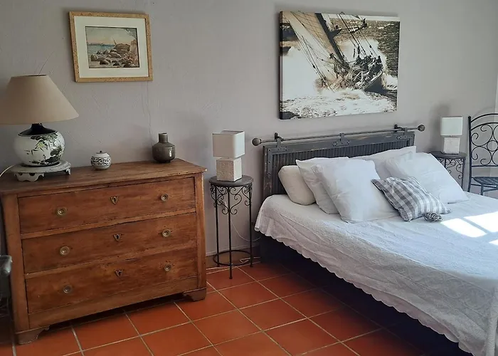 Rez De Jardin Presqu'ile De Giens *