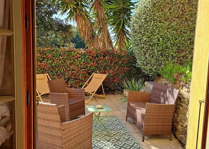 Rez De Jardin Presqu'ile De Giens Apartment