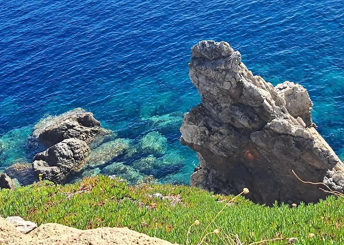 Apartment Rez De Jardin Presqu'ile De Giens