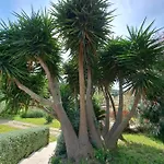 Rez De Jardin Independant Presqu'ile De Giens Hyeres