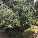 Rez De Jardin Independant Presqu'ile De Giens Hyeres