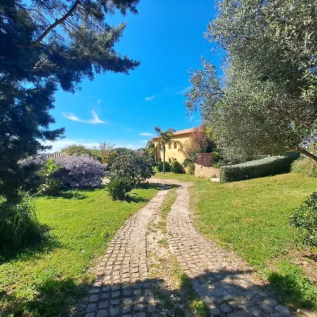 Rez De Jardin Presqu'ile De Giens Appartement
