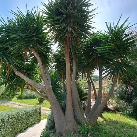 Rez De Jardin Presqu'ile De Giens Йер