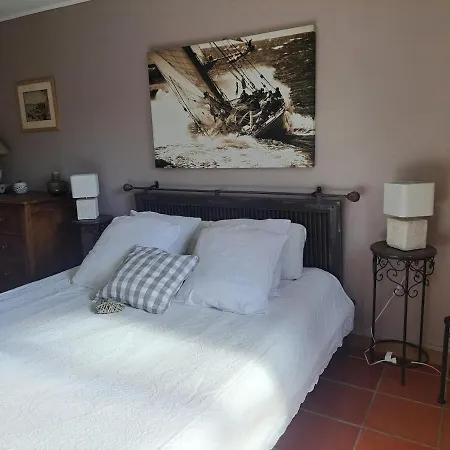 Rez De Jardin Presqu'ile De Giens