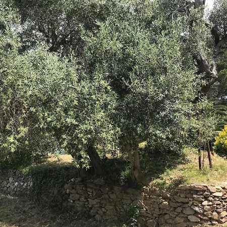 Rez De Jardin Presqu'ile De Giens Йер