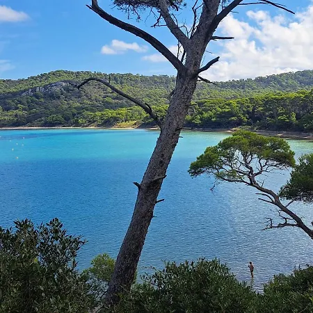 Rez De Jardin Presqu'ile De Giens Апартаменты