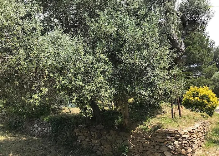 Rez De Jardin Presqu'ile De Giens Hyères