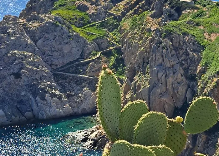 Apartamento Rez De Jardin Presqu'ile De Giens