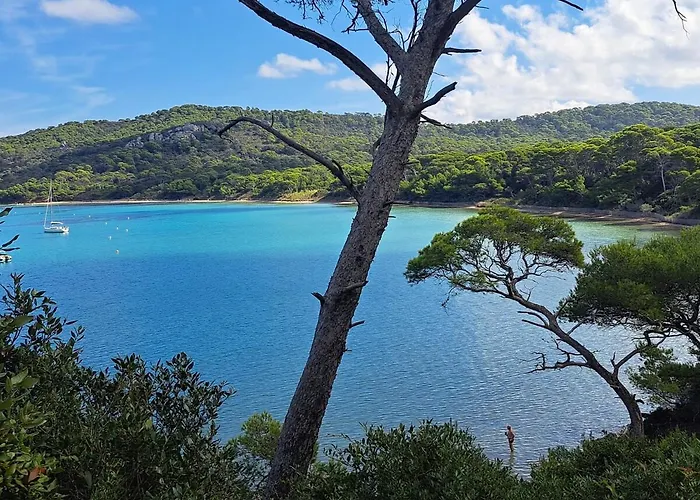 Rez De Jardin Presqu'ile De Giens Apartman
